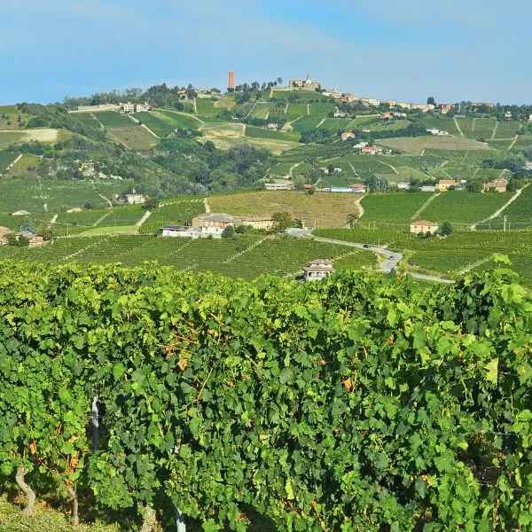 Langhe, Roero and Monferrato